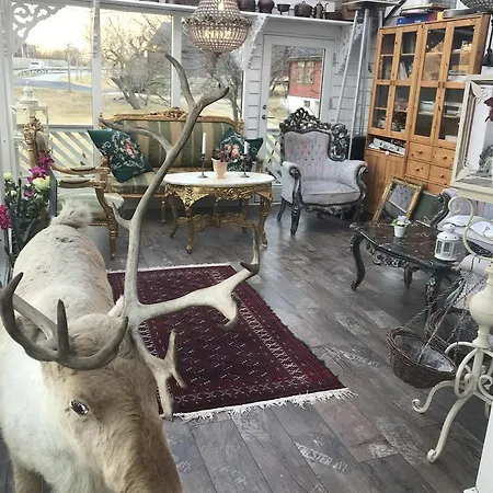 Eidfjord Hytter Ferienhaus