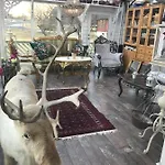 Eidfjord Hytter בית נופש
